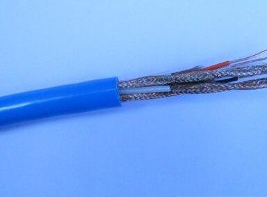 阻燃高溫計算機(jī)電纜 IA-DJFPF46P