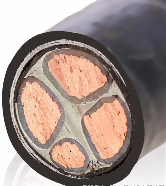 安徽天長市中盛屏蔽交聯電力電纜YJVP 3*2.5