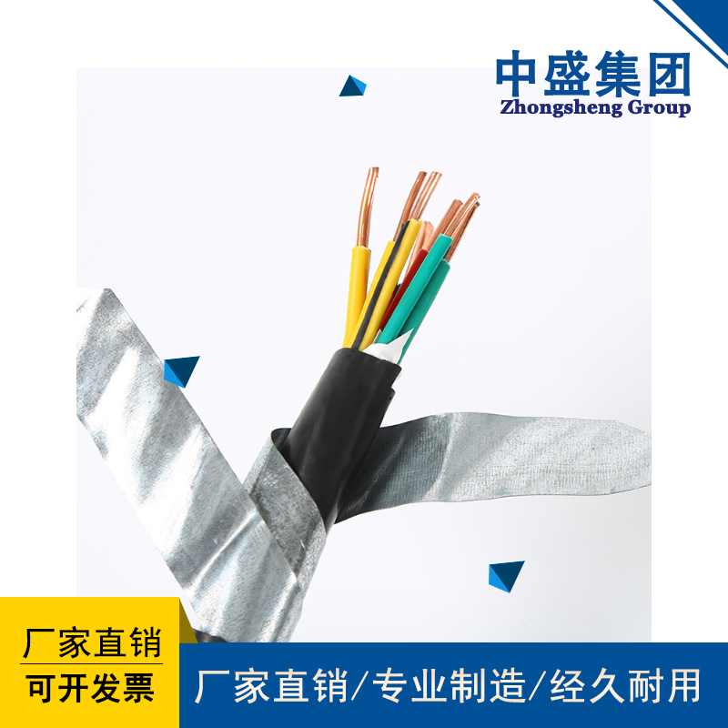 阻燃鎧裝計算機電纜ZRC-DJVP2VP2 2*3*1.0