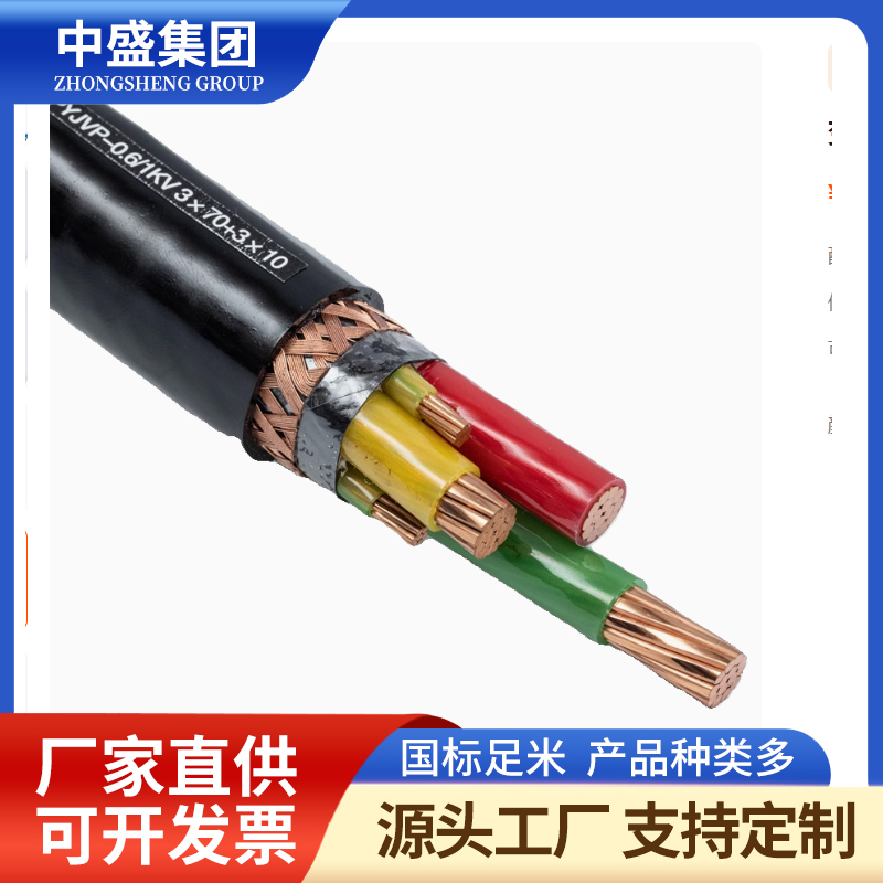 鎧裝特種防鼠蟻電力電纜ATGTNS22-FYS