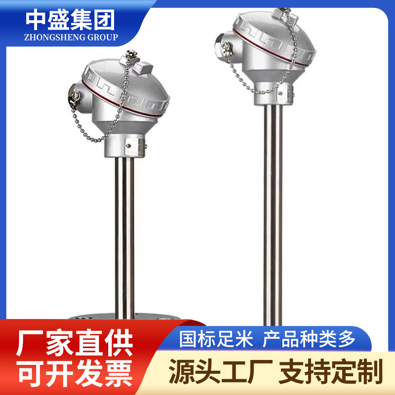 扁接插式鎧裝熱電偶WRFK2-271