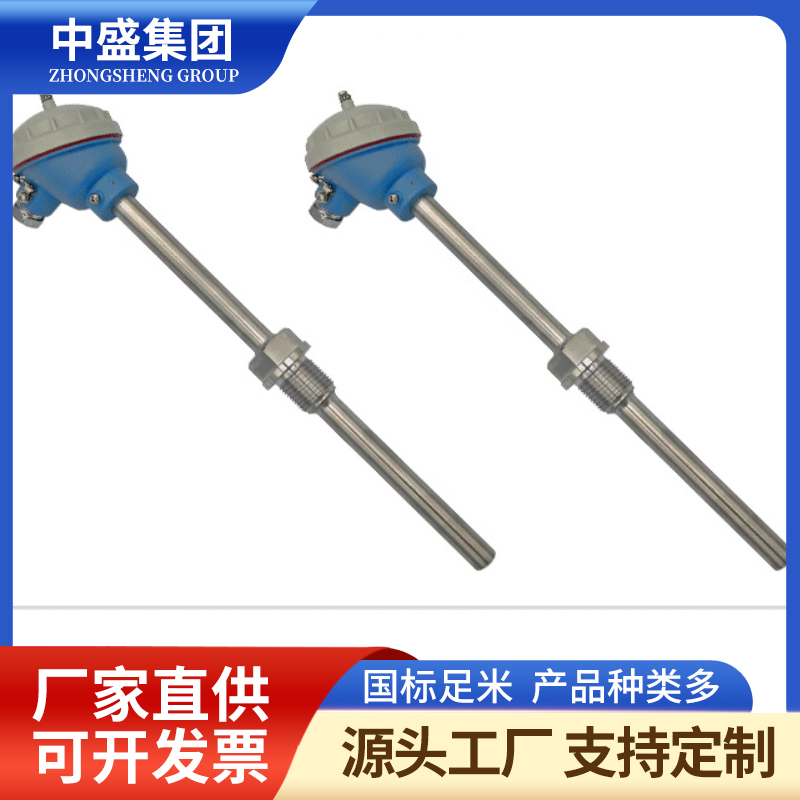 扁接插式鎧裝熱電偶WRPK2-371