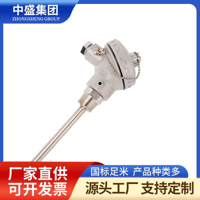 扁接插式鎧裝熱電偶WRCK-371