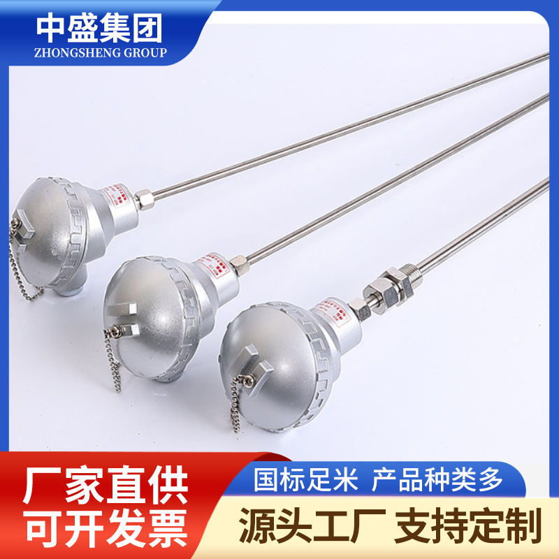 扁接插式鎧裝熱電偶WRNK2-571