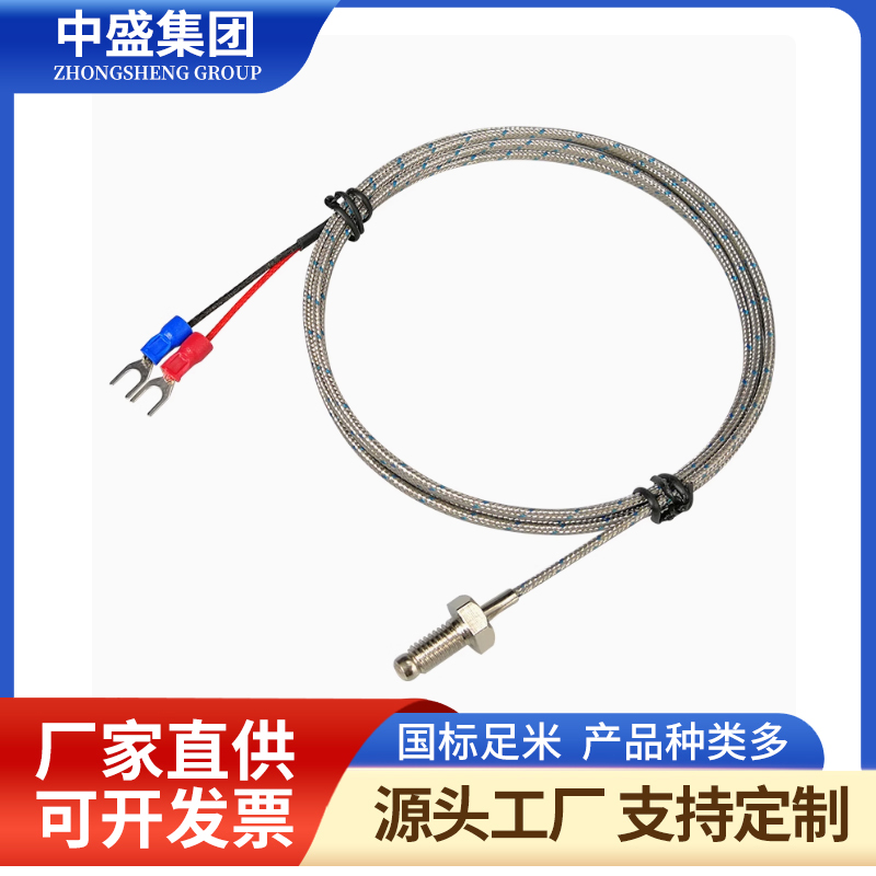 補償到現實鎧裝熱電偶WREK-191