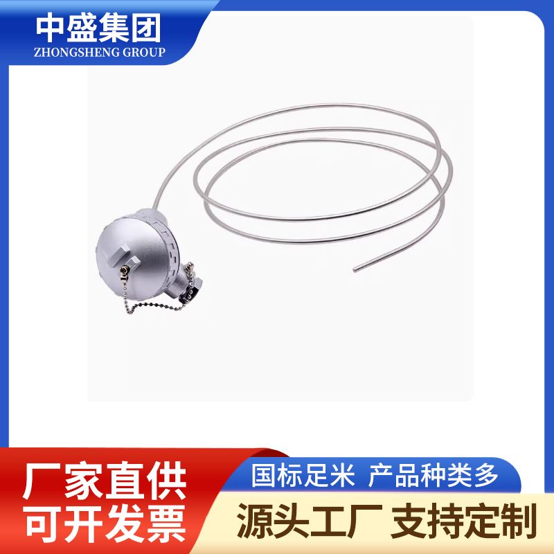 補償導(dǎo)線式鎧裝熱電偶WREK-391