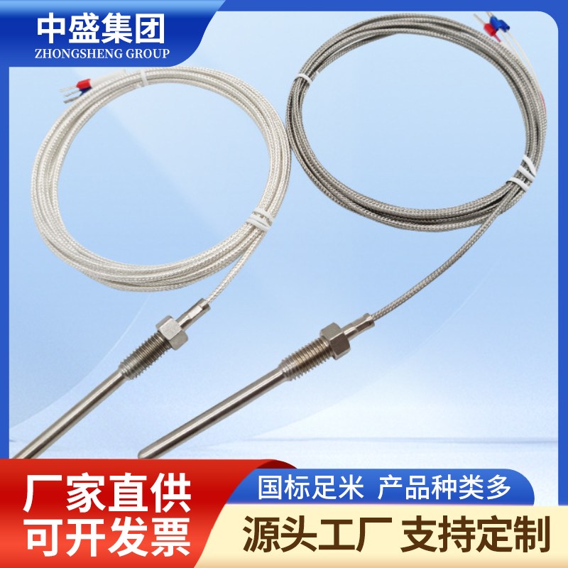 補(bǔ)償導(dǎo)線式鎧裝熱電偶WRFK-491