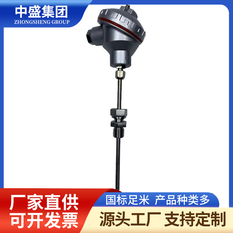 裝配熱電偶WRE-101 WRE2-101