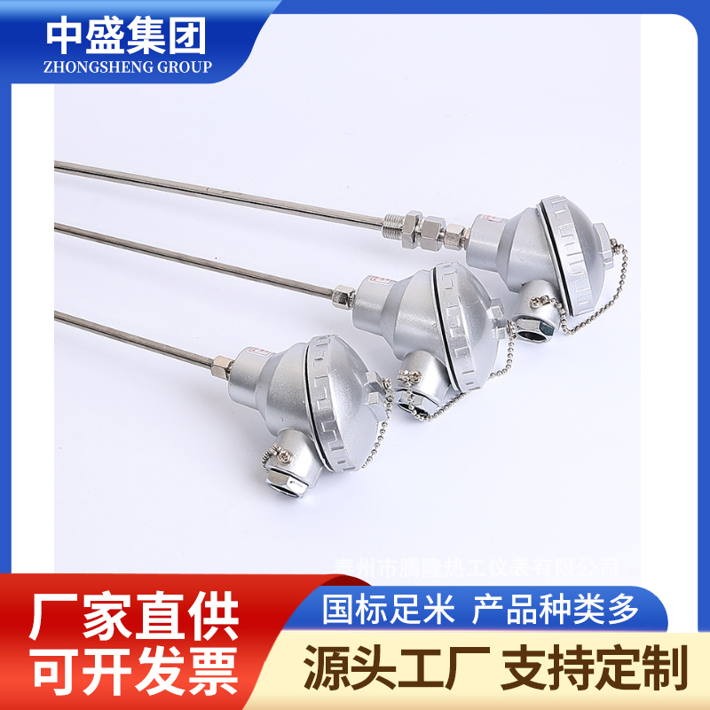 裝配熱電偶WRM-133 WRM2-133