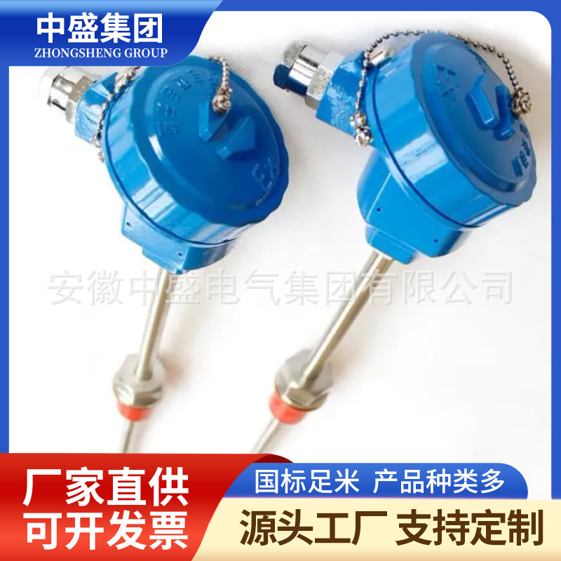 無固定裝置熱電偶WRM-131G WRM2-131G