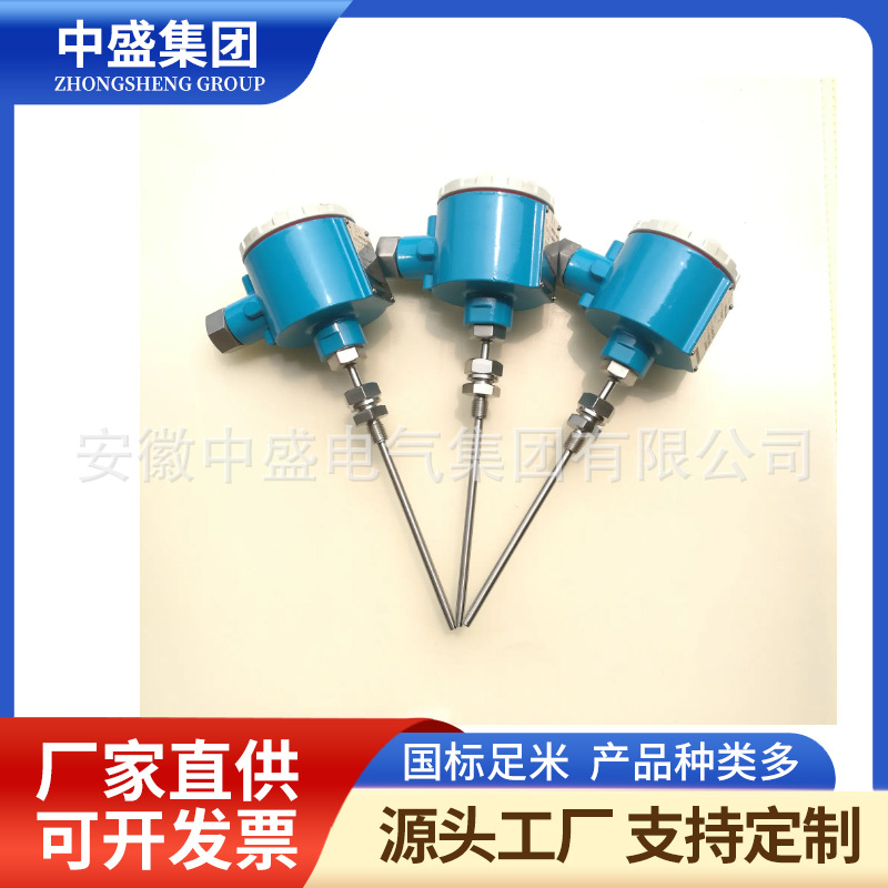 無固定裝置熱電偶WRE-131 WRE2-131