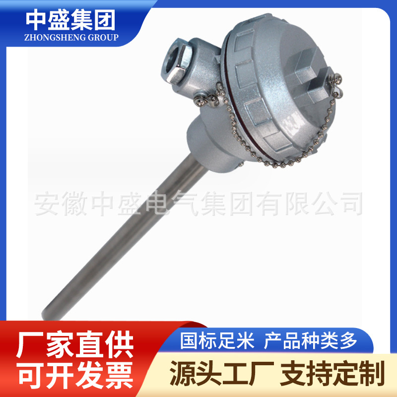 無固定裝置熱電偶WRC-131 WRC2-131