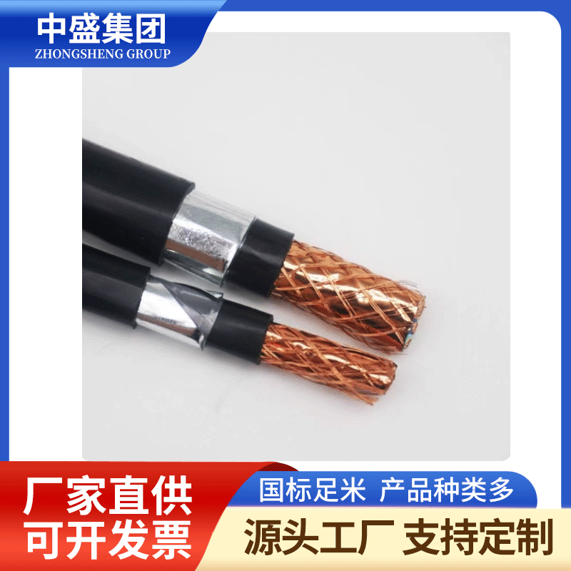 阻燃鋼帶鎧裝計算機電纜ZR-DJYPVRP22